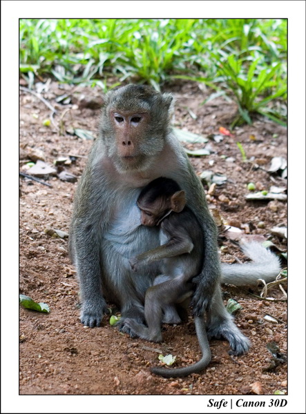 2006 - 07 - Phnom Penh - Wat Phrom 22